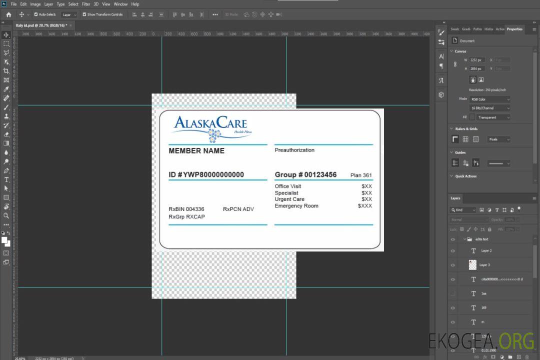 Carte d'assurance maladie de l'Alaska template